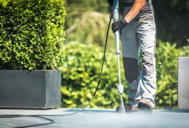 Best Animal Enclosure Cleaning  in Centerville, CA