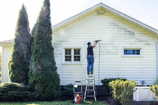 Best Gutter Cleaning  in Centerville, CA
